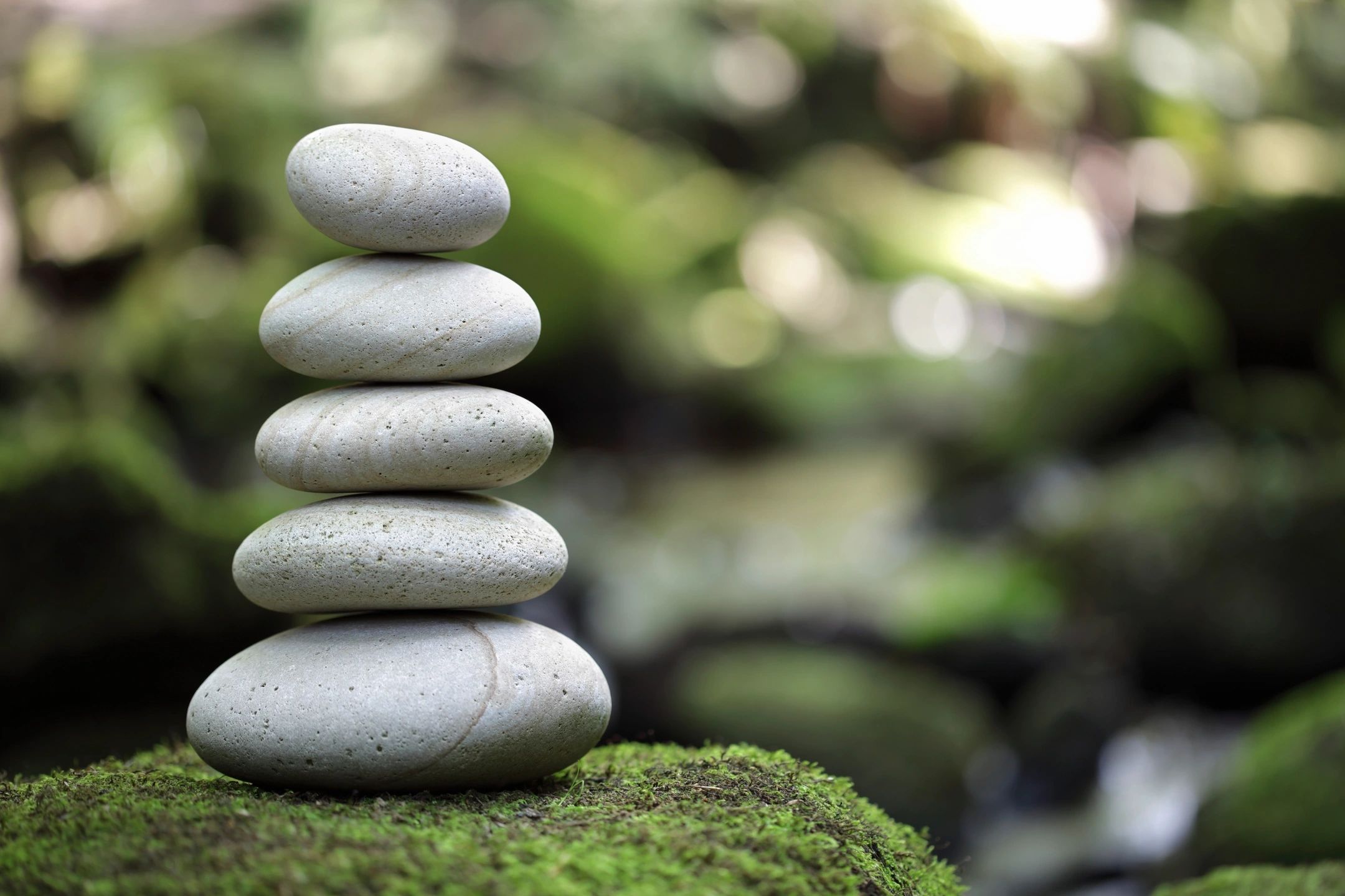 Emotional Intelligence and Mental Health: What It Is, Why It Matters, and How to Build It